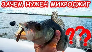 ЗАЧЕМ НУЖЕН МИКРОДЖИГ. РЫБАЛКА НА СПИННИНГ