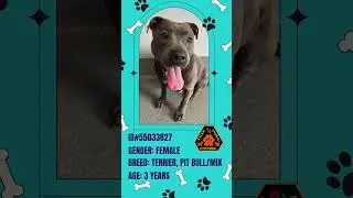 Pet of the Month - March 2024