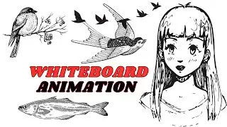 How to make Whiteboard Animation Video With AI