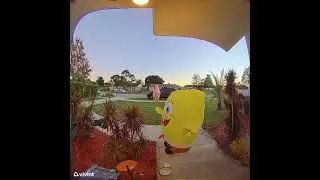 CAREFUL SPONGEBOB!! #shorts #short