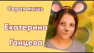 Все мыши любят сыр или Мышиная возня
