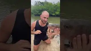 Mangrove Jack Catch & Cook -Manscaped Code:OST20 20% off