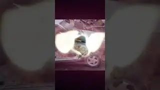 2115