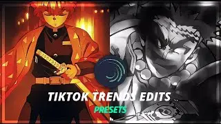Tiktok Trends Anime Edits Presets| Alight Motion