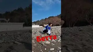 Бетта - никакой романтики 