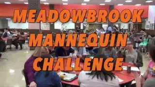 Meadowbrook Mannequin Challenge