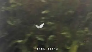 Farzin - Суроги Ман (Tural Beatz Remix)
