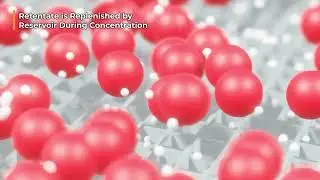 Concentrate Samples Faster and Recover More with the µPULSE TFF System