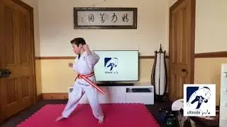 train with tristan 2