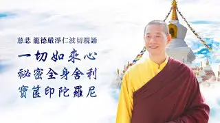 慈悲 龍德上師親誦〈一切如來心祕密全身舍利寶篋印陀羅尼〉✦百病萬惱消滅 福壽增長 現世安樂 命終往生淨土