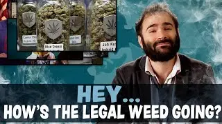 Hey..... How's The Legal Weed Going? – SOME MORE NEWS