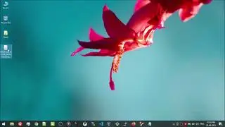 [CentOS/RHEL] How to install AlmaLinux 8