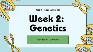 Genetics - Mendelian Genetics