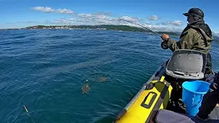 Рыбалка в Приморье. Залив Восток. Морская рыбалка, камбала. 06.06.2021 г.