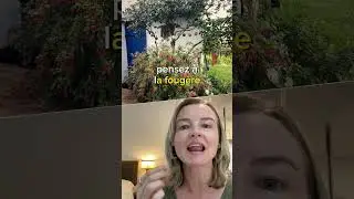 Que planter dans un petit espace à l'ombre ?