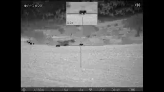 Let my friend try a thermal scope for the first time