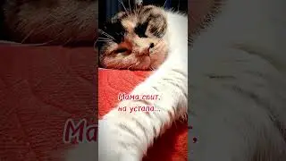 Устала😂 