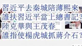习近平去秦城陪薄熙来。谁扶习近平当上总书记的？陆克华与王茂春，谁指使的杨虎城抓蒋介石？
