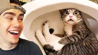 Funniest Animal Videos EVER  - Funniest Cats & Dogs 2023