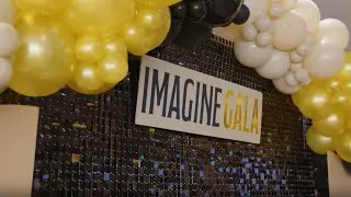 14th Annual Dancing for Our Stars "Imagine" Gala