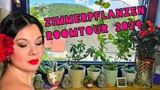 Комнатные растения обзор в конце лета 2024#nature #обзор #totalgaming #
