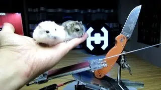 ТОЧИЛКА APEX из жесткого диска (НЕ ОРЕХ)