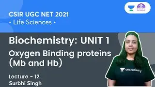Oxygen Binding proteins (Mb and Hb) | Biochemistry: UNIT 1 | CSIR NET 2021 | By Surbhi Singh