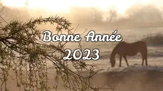 Bonne année 2023 !!!