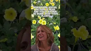 Introverted but willing to talk plants! #shorts #gardening