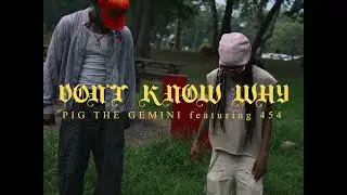 Pig The Gemini x 454 - Don't know why