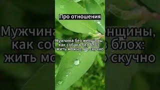 Мужчина без женщины, #психология #факты