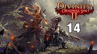 Divinity original sin 2
