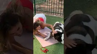Watch😱 Dog preventing a beautiful girl from doing a fitness in nature #dogs #dogfunny #fitness