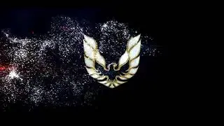 professional intro design 