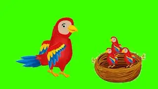 Green screen brid no copyright