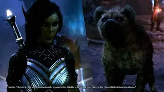 Baldur's Gate 3 - Kind-hearted Githyanki Saves Hyena in the Shadow-Cursed Lands