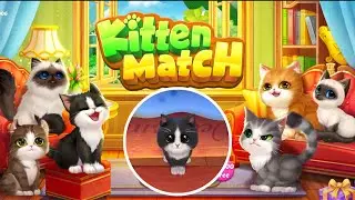 Kitten Match : Cute Kitten Game! :)