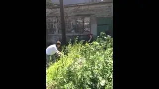 отработка в универе