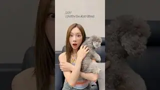 #POV you're the slow friend #태연 #TAEYEON #소녀시대 #GirlsGeneration #shorts