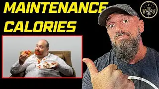 What are "MAINTENANCE" Calories?  (Fat Loss Explained!)