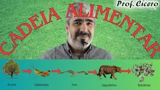 O que é Cadeia Alimentar