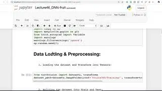 Pytorch Bootcamp   43 Deep Neural Networks DNN For Image Classification