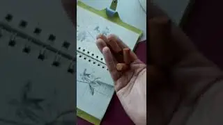 Как рисовать мелком пастели #shorts #pastel #сухаяпастель #пастель #искусство