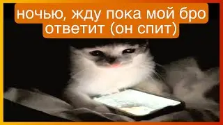 тикток ждет ответа | подборка мемов