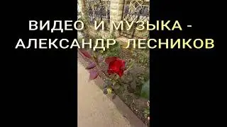 Красивые РОЗЫ*С Праздником !!!