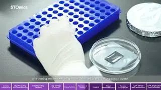 Stereo seq Large Chip T Experiment Operational Guide