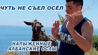 Балканы!Продолжения. Ксамиль - Албанский рай