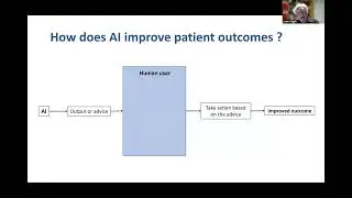 2024 HINF Seminar Series - Prof Jeremy C Wyatt - Improving the impact of AI in practice