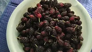 🛒 Опять покупки 🌽🍉 #Магнит и не только, Заказала в #гиперлента