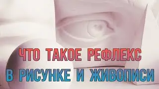 Что такое рефлекс в академическом рисунке и живописи